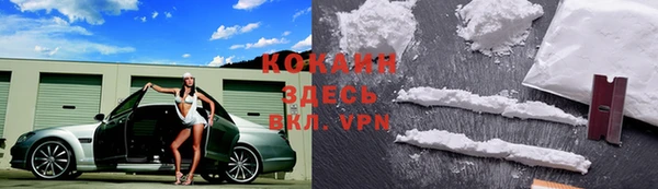 мяу мяу мука Пролетарск